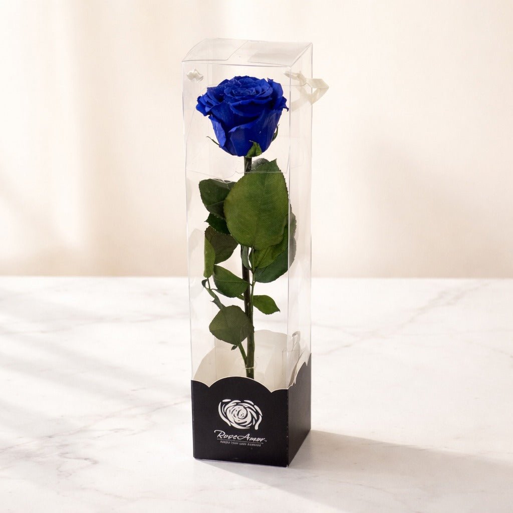 Preserved Single Blue Rose