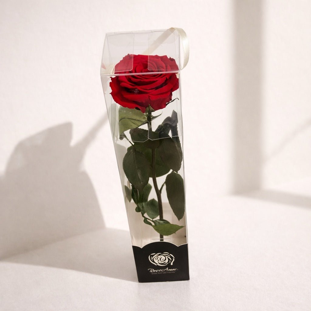 Preserved Single Red Rose