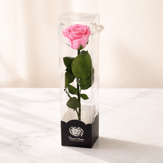 Preserved Single Pink Rose