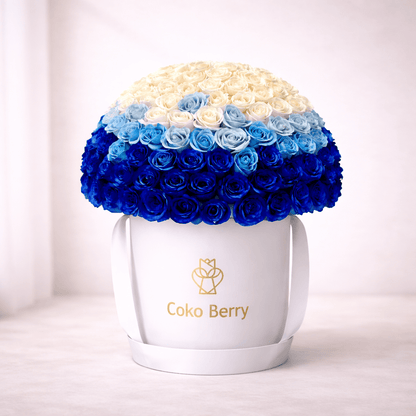 Ocean Elegance Luxe Box