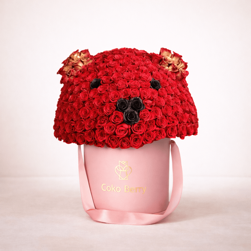 Coko Teddy Love Roses