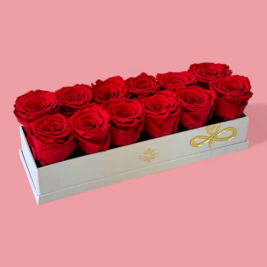 Preserved Red Roses