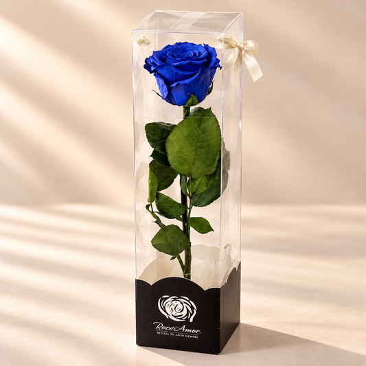 Preserved Single Blue Rose
