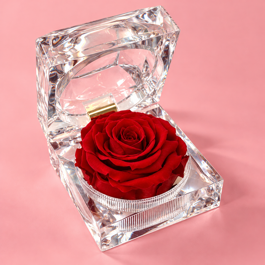 Mini Preserved Rose in Gift Box