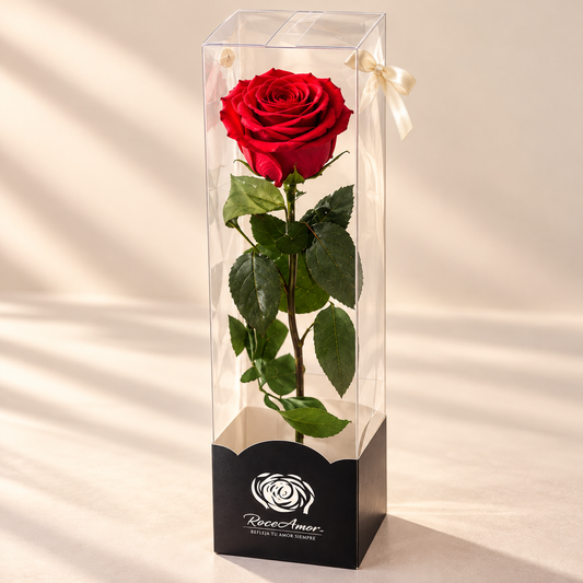 Preserved Single Red Rose