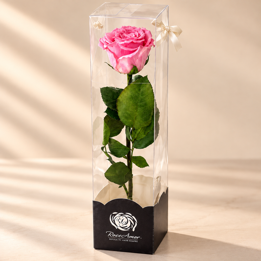 Preserved Single Pink Rose