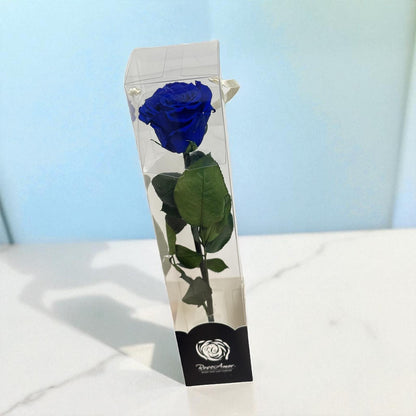 Preserved Single Rose