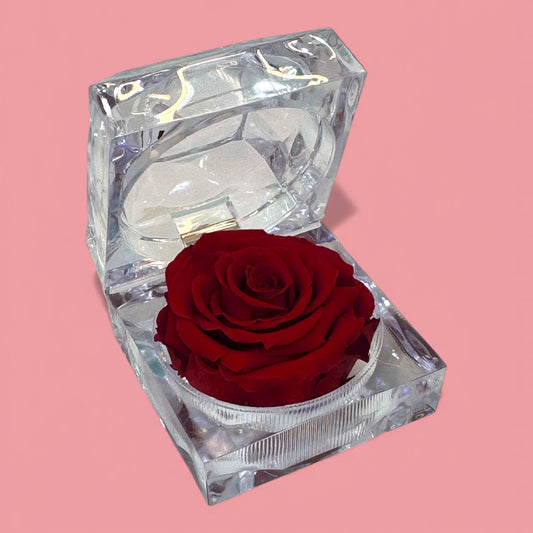 Mini Preserved Rose in Gift Box
