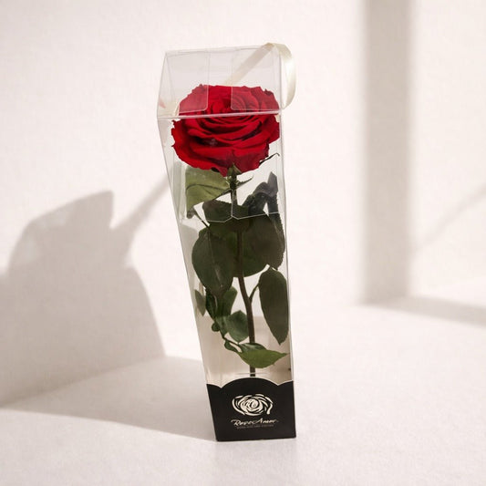 Preserved Single Red Rose